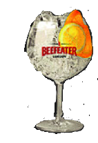 Gin Tonic Beefeater con tónica y limón