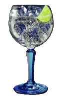 Gin Tonic Bombay con tónica y frutos rojos