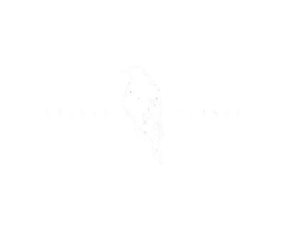 Logo cuervo blanco