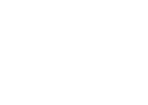 Stella Artois